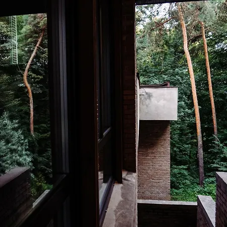 Forest Hotel-3